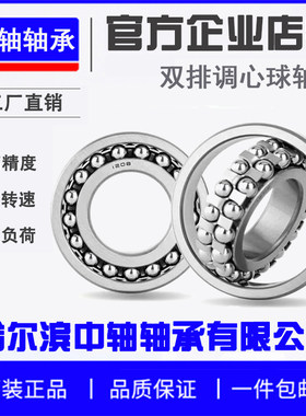 哈尔滨双排调心球轴承1200-1207