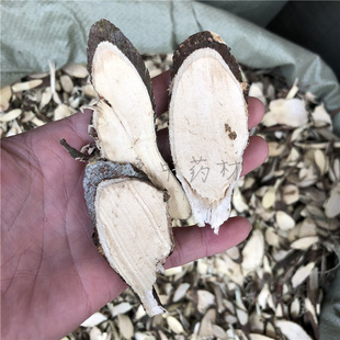 了哥王中药材1000克包邮 了哥王切片了歌王雀仔麻山豆了地棉皮