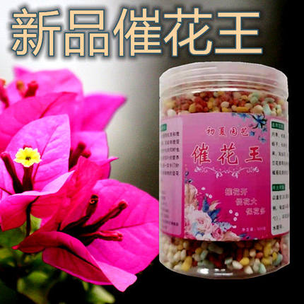 花肥促花催花王花多多1号2号养花肥料三角梅月季君子兰长寿花磷肥
