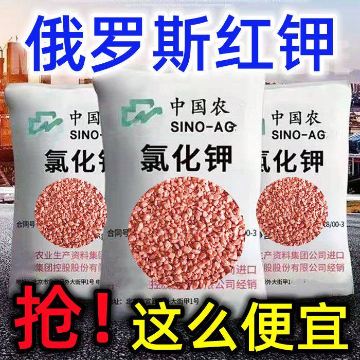 正宗红钾肥俄罗斯氯化钾通用化肥农用纯钾叶面肥蔬菜果树花卉肥料