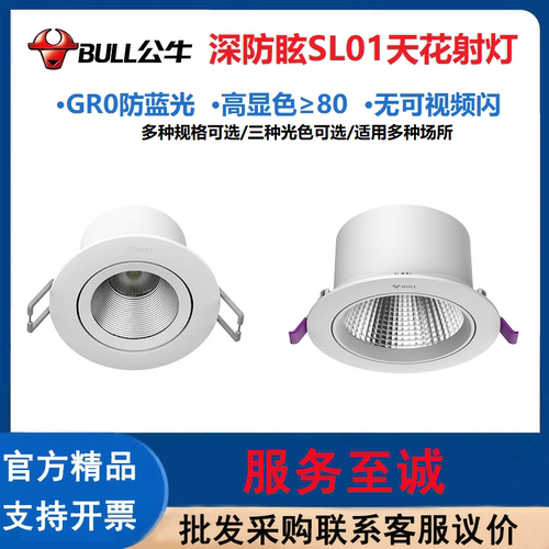 公牛（BULL）SL01天花射灯