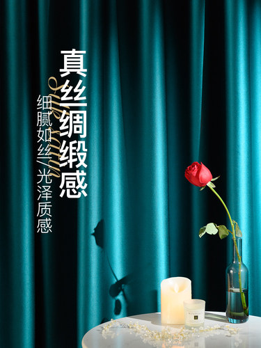 窗帘新款轻奢现代简约挂钩式滑轨