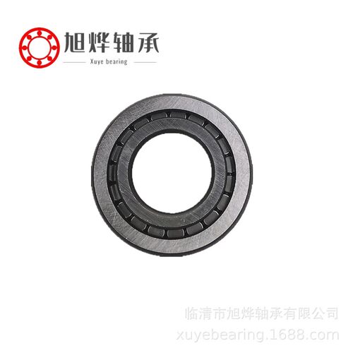 厂家现货直供 圆柱滚子轴承 满滚子非标轴承 NK30.5X50X17 JC8008