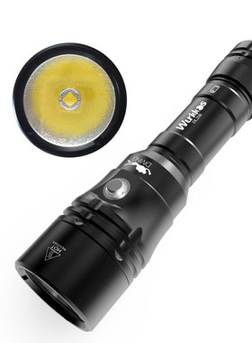 索菲恩DL20R C口直充潜水手电筒3200lm XHP50.2磁控开关18650便携