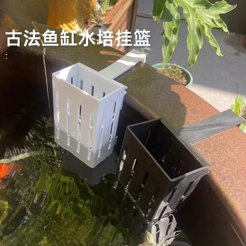 鱼缸绿植挂篮水培红薯篮定植篮