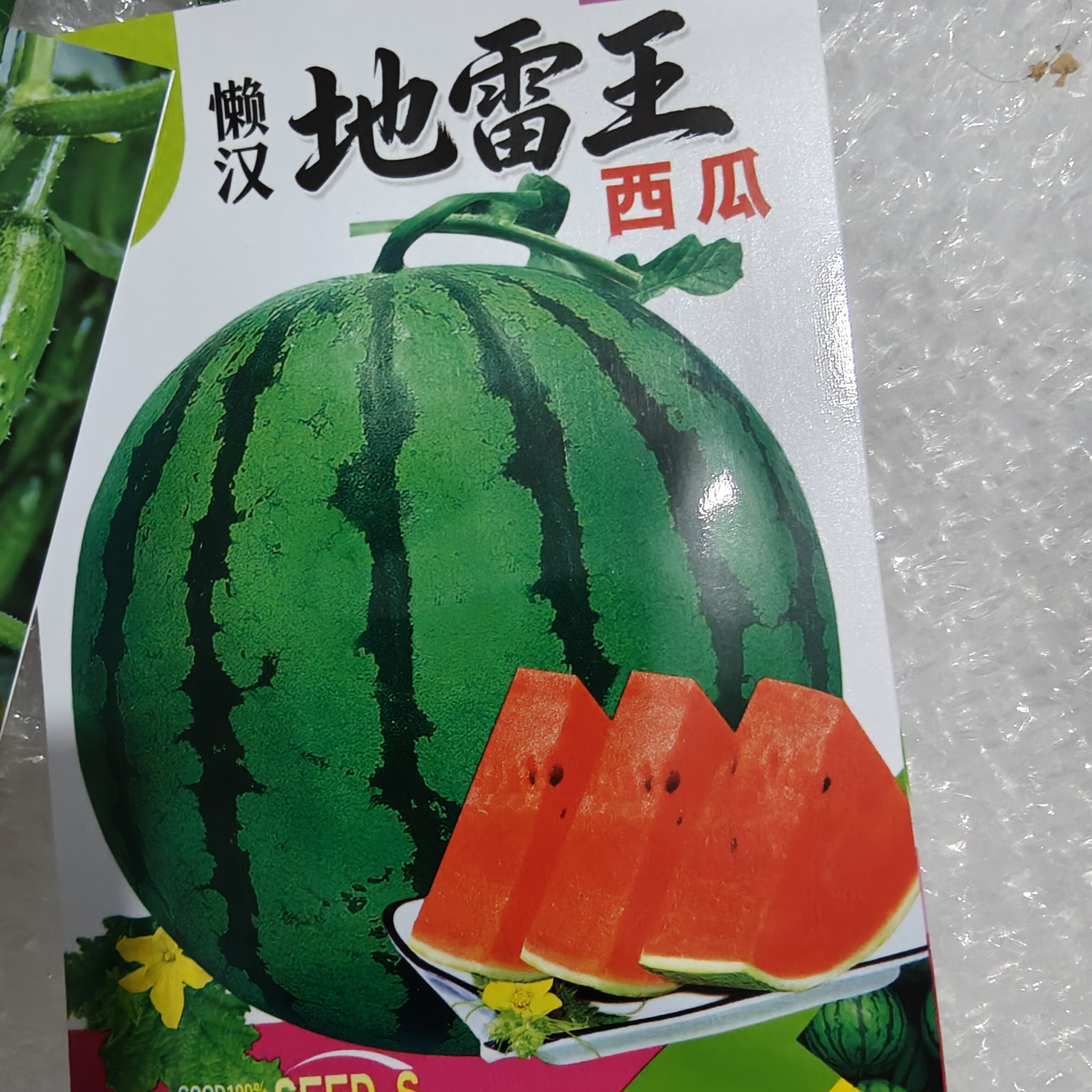 东北地雷西瓜种子 春夏菜园庭院种植老品种水果型小西瓜懒人原装