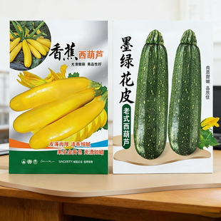 香蕉西葫芦种子东北精品蔬菜籽黄色角瓜金皮茭瓜高产品种熊瓜蔬菜