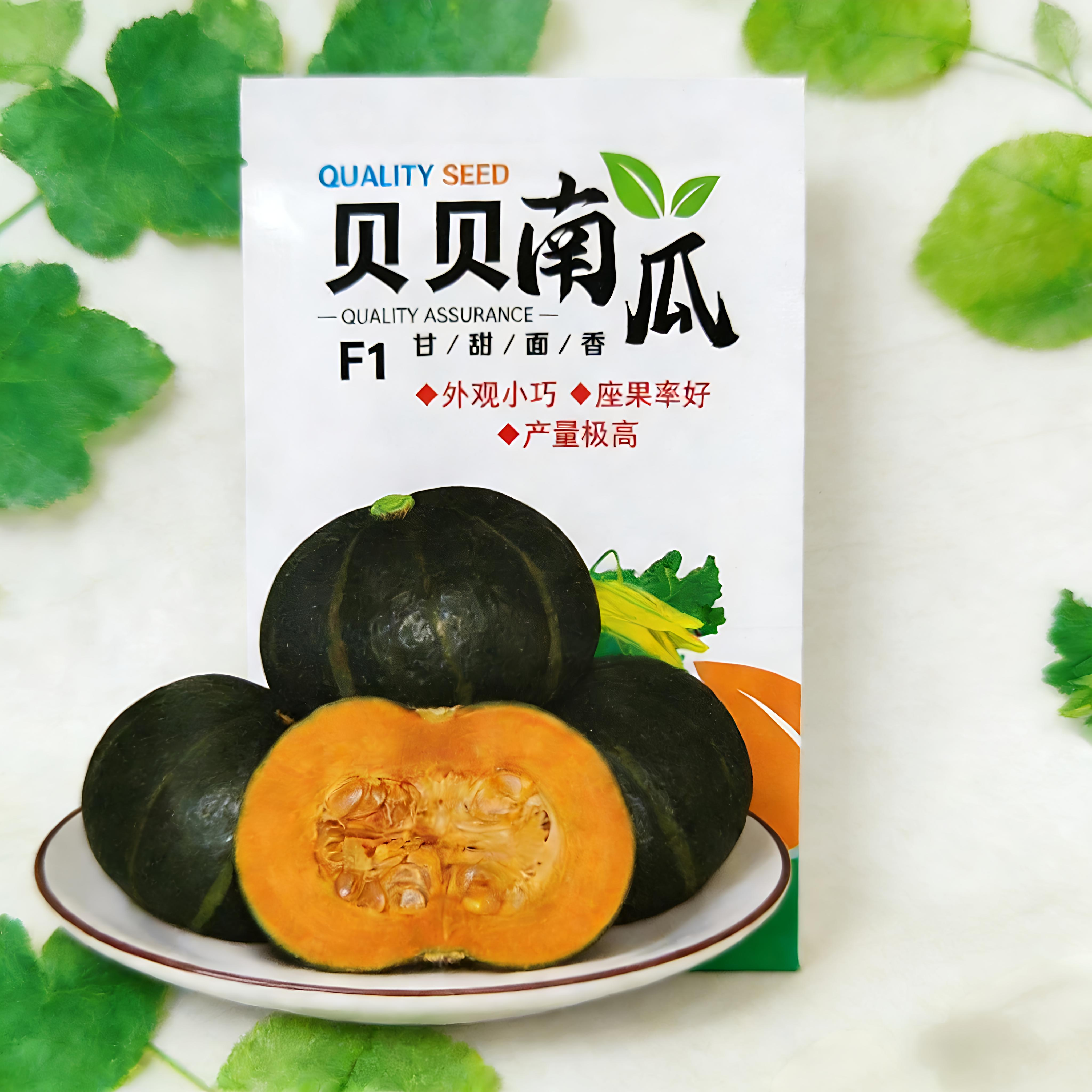 贝贝南瓜种子东北迷你版小窝瓜嘎嘎面爬藤结瓜多品种观赏食用面瓜
