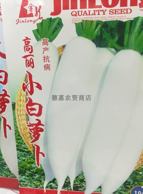 蔬菜早熟秋季老品种白萝卜