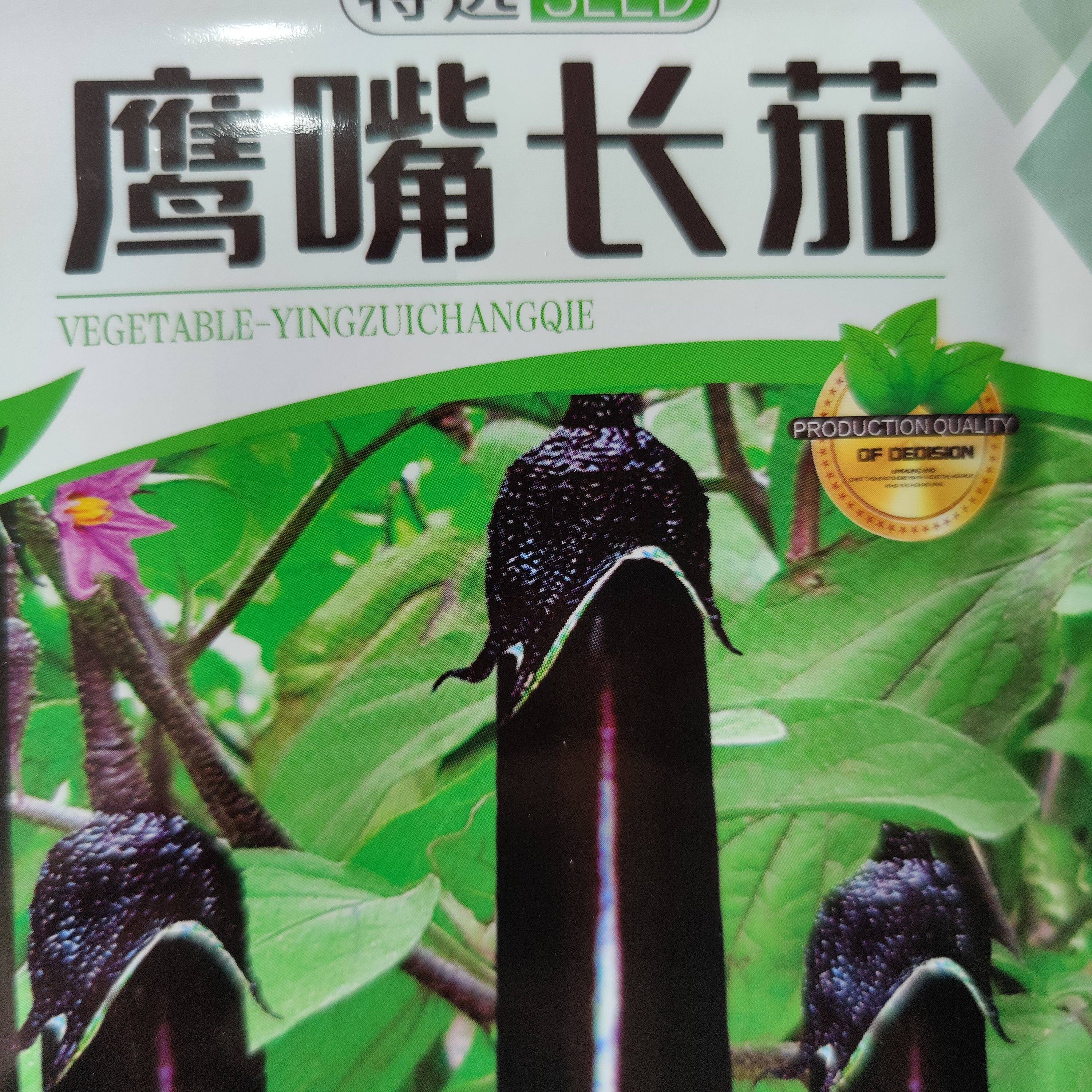 东北鹰嘴茄子吉林老品种黑长茄子长茄种线茄子籽味道浓郁蔬菜黑茄