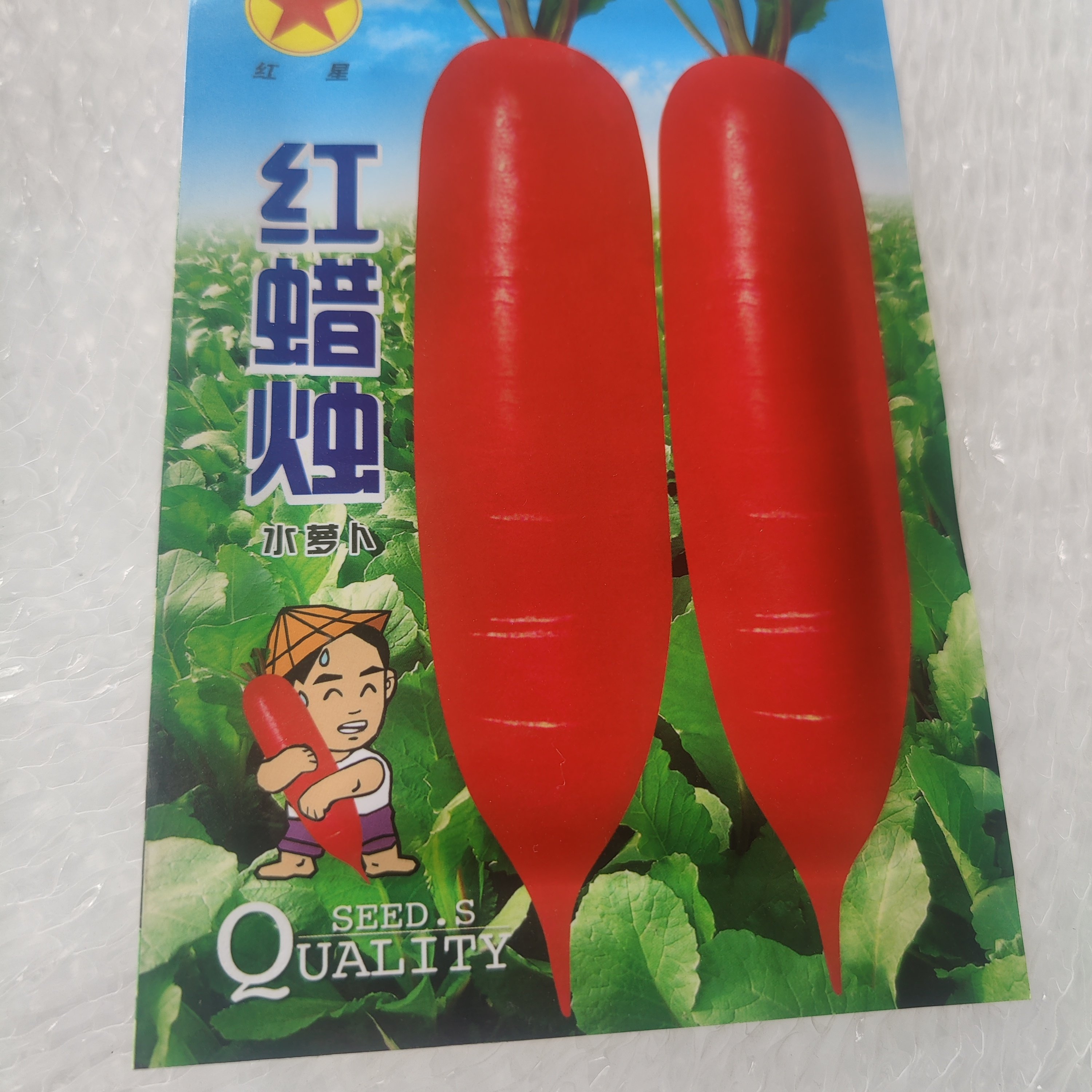 东北小水萝卜种子阳台盆栽水果味红星60天采收菜园甜辣小水萝卜籽,鲜花速递/花卉仿真/绿植园艺,家庭园艺种子,淘宝优惠券,粉丝福利购,淘宝优惠卷