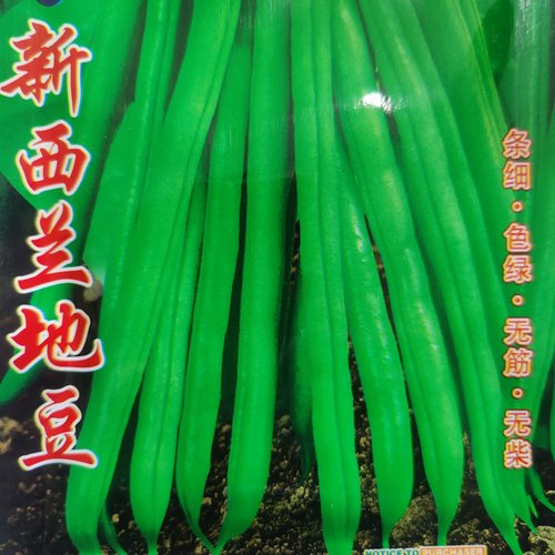 新西兰地豆种子 东北40天早熟无架不搭架四季豆种子矮生地豆蔬菜