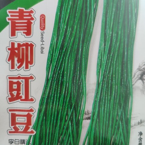 青柳豇豆种子 40天早熟蔬菜庭院爬藤植物东北菜豆种子无纤维不老