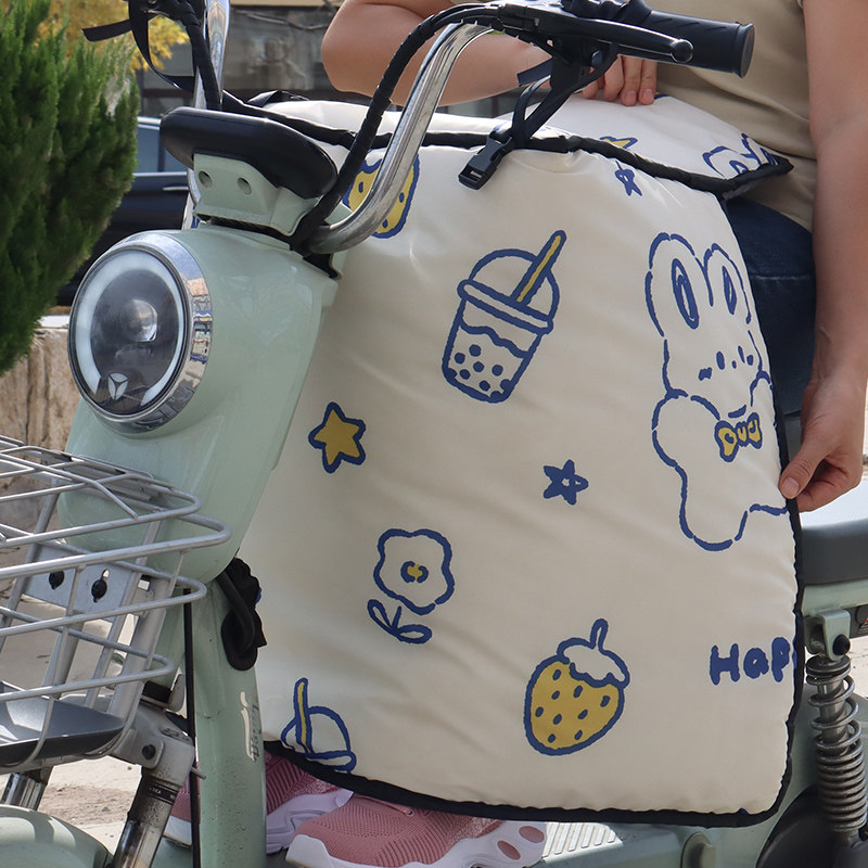 电动车挡风被内搭被加厚护腿保暖厚款秋冬款护膝防水挡风被防风被,电动车/配件/交通工具,电动车挡风被,淘宝优惠券,粉丝福利购,淘宝优惠卷