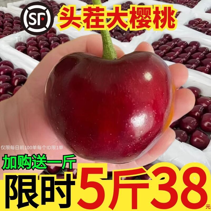 【8年畅销美早大樱桃】顺丰空运