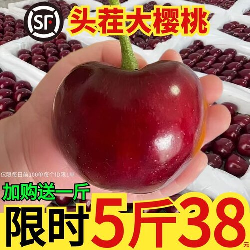 【8年畅销美早大樱桃】顺丰空运