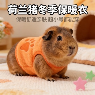 荷兰猪衣服超小型龙猫侏儒兔专用冬天保暖加绒加厚宠物小幼兔衣服