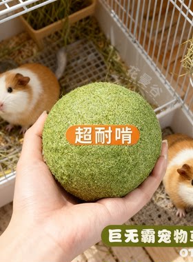 龙猫荷兰猪解闷玩具大草球