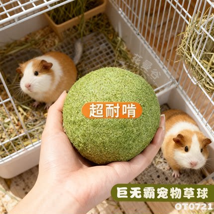 龙猫荷兰猪解闷玩具大草球磨牙啃咬零食宠物小兔子玩的专用品玩具