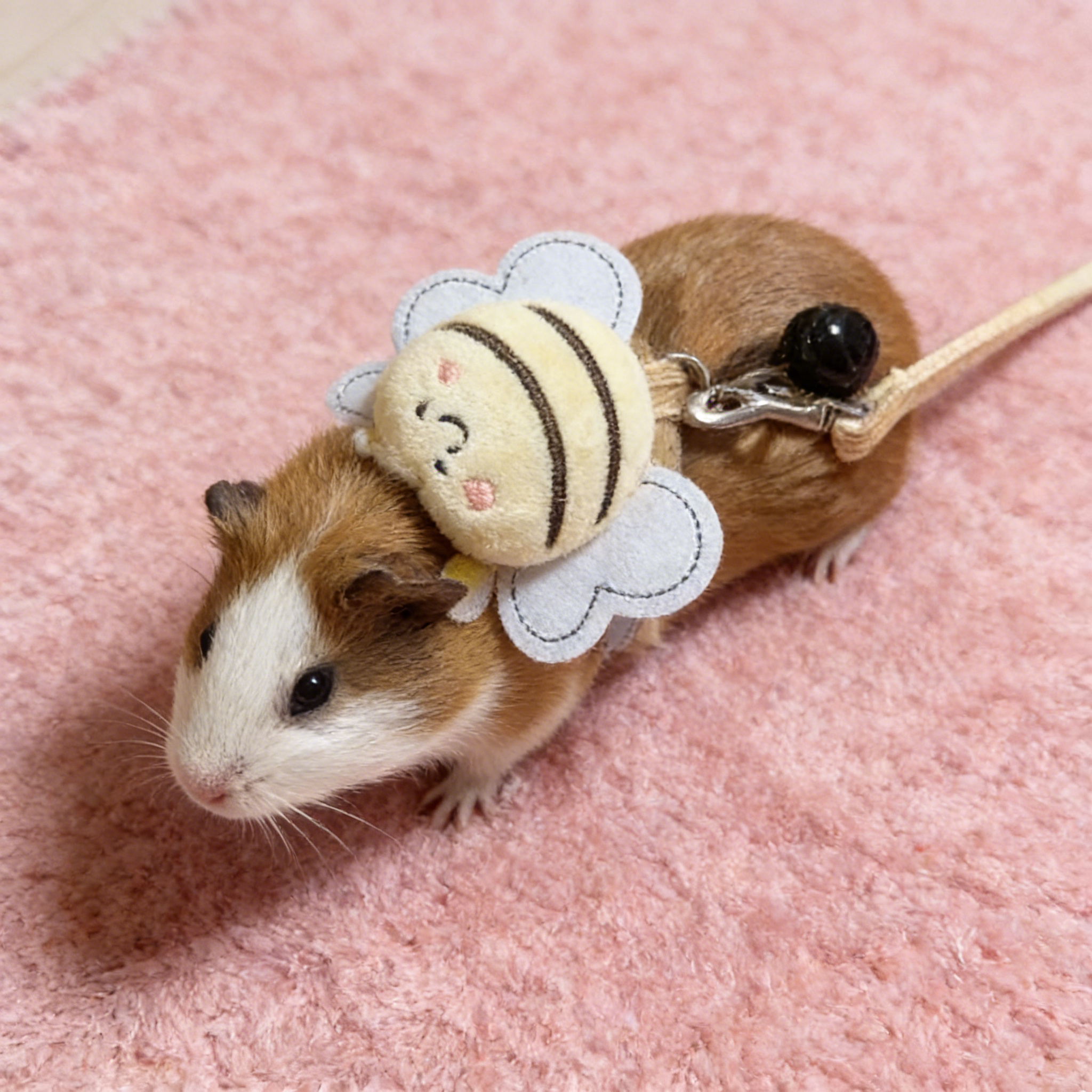 荷兰猪牵引绳兔子牵引绳松鼠兔绳刺猬蜜蜂牵引绳豚鼠龙猫外出绳,宠物/宠物食品及用品,狗牵引绳,淘宝优惠券,粉丝福利购,淘宝优惠卷