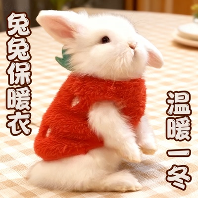 兔子衣服背心保暖垂耳用品
