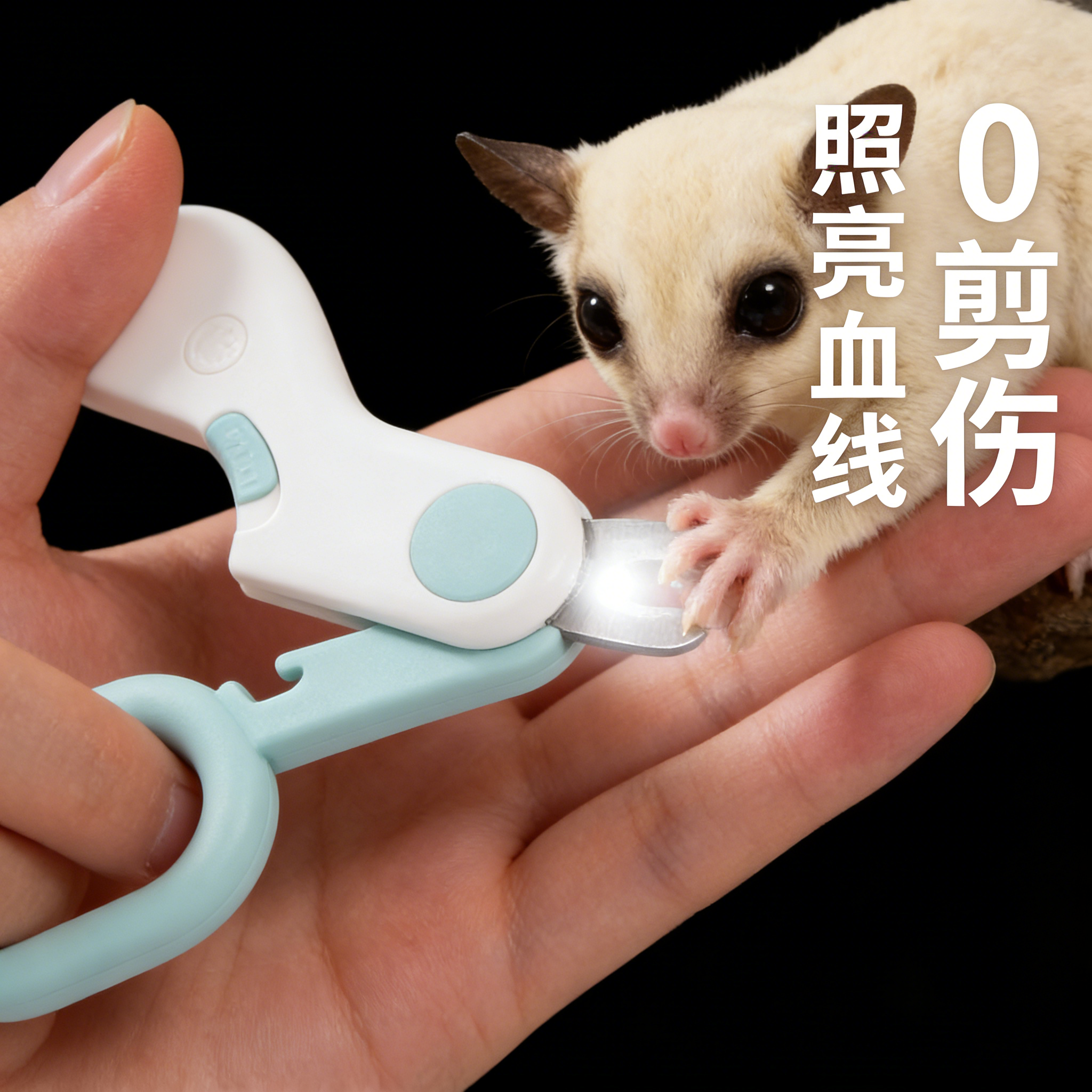 宠物用品蜜袋鼯专用LED指甲剪 小鼬飞鼠修甲工具 龙猫豚鼠宠物指,宠物/宠物食品及用品,指甲剪,淘宝优惠券,粉丝福利购,淘宝优惠卷