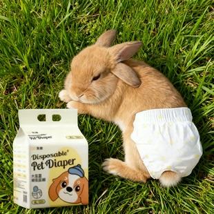 XXS 号兔子专用一次性生理裤 加厚防污便携经期裤 宠物隔尿垫尿裤