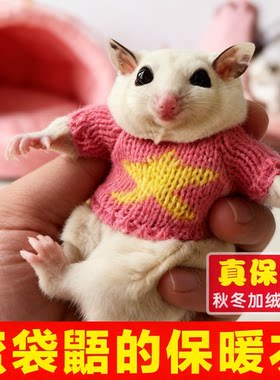 蜜袋鼯专用衣服保暖冬天超