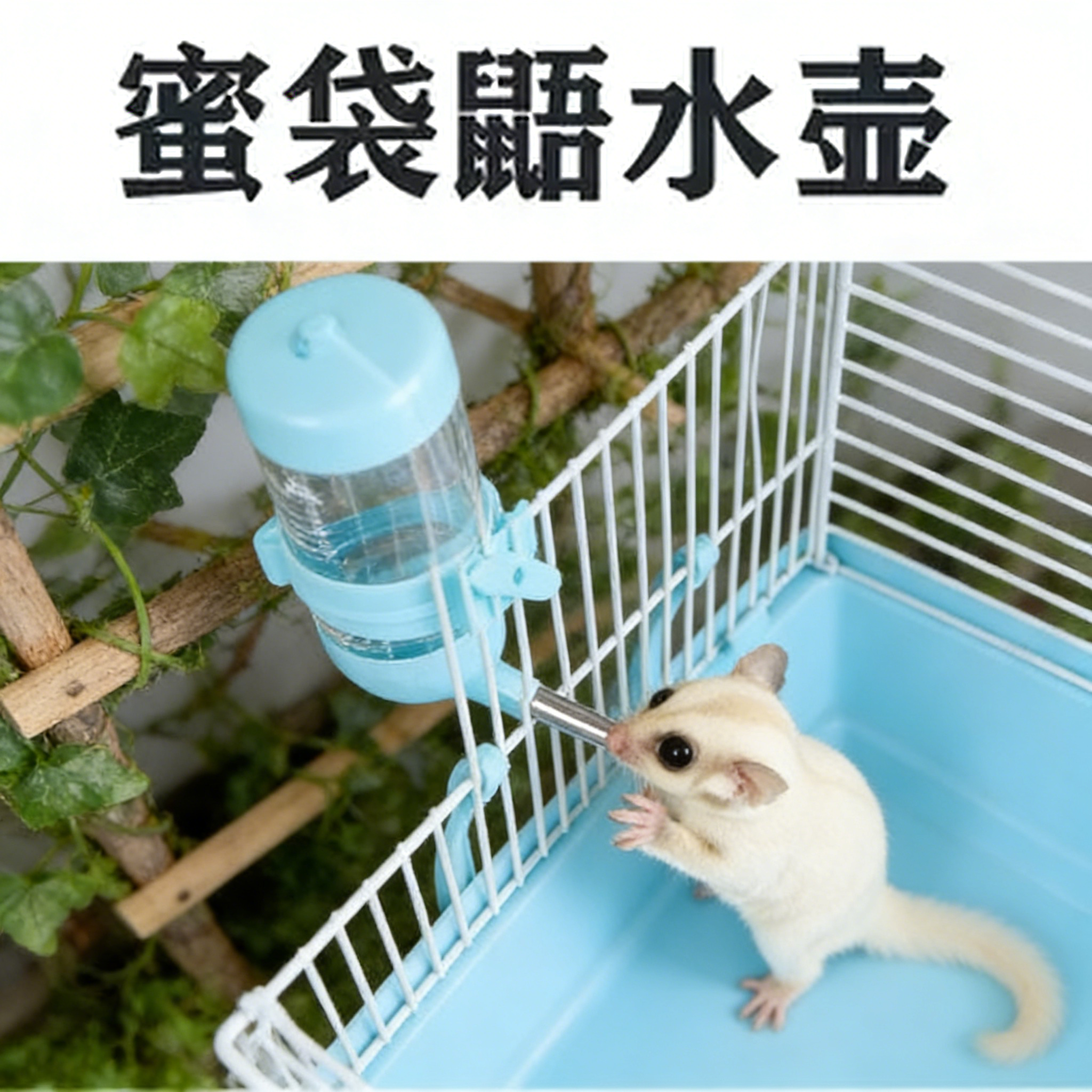 侏儒兔蜜袋鼯水壶小宠饮水器蜜袋鼬小飞鼠专用防咬玻璃滚珠喝水器,宠物/宠物食品及用品,鼠类喂食器,淘宝优惠券,粉丝福利购,淘宝优惠卷
