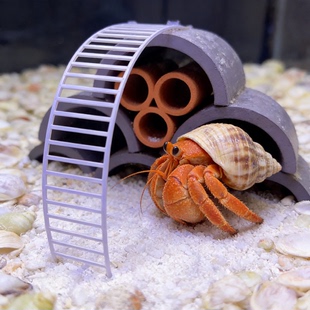 寄居蟹攀爬架爬宠加密可裁剪爬架爬台爬梯玩具拱桥饲养箱造景装饰