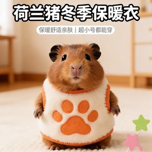 荷兰猪保暖衣服专用可爱冬天豚鼠背心加绒加厚超小号服装用品装扮