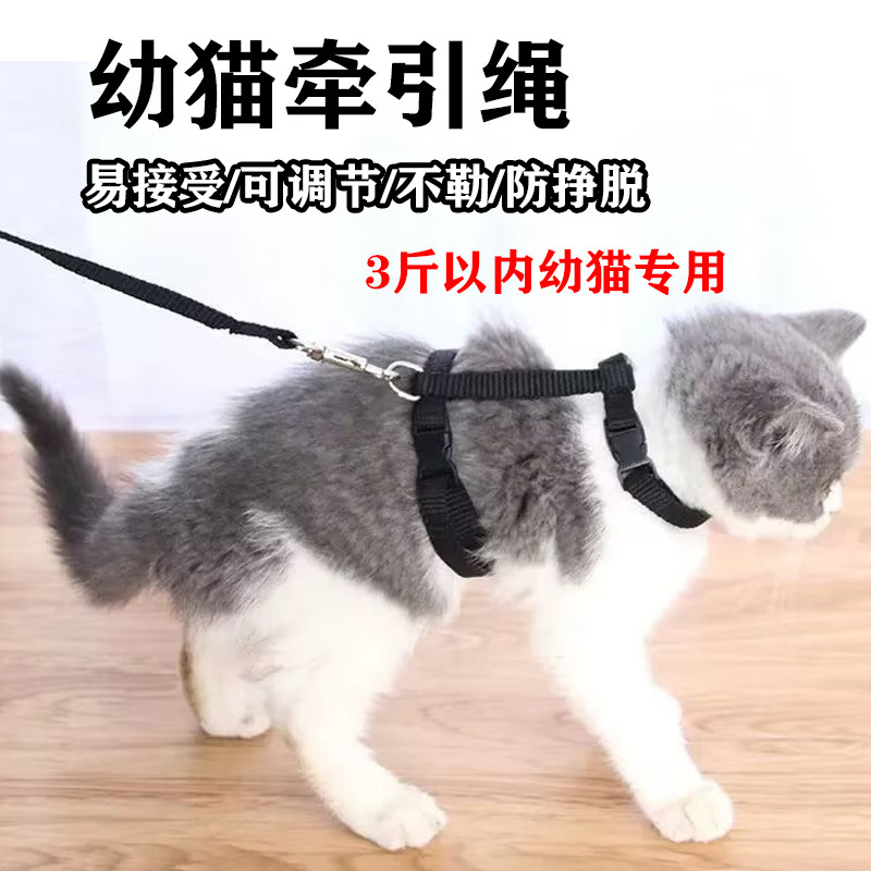 幼猫牵引绳小猫咪3斤以内外出迷你茶杯犬小狗工字型背带遛狗猫绳,宠物/宠物食品及用品,猫牵引绳,淘宝优惠券,粉丝福利购,淘宝优惠卷