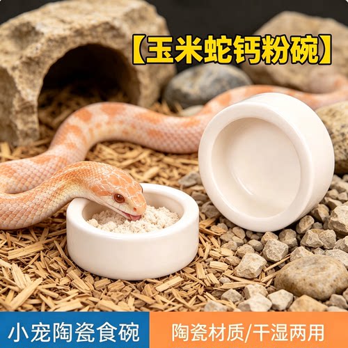 玉米蛇专用防逃逸陶瓷盆水碗食盆爬宠圆形白色高边干湿两用喂食碗