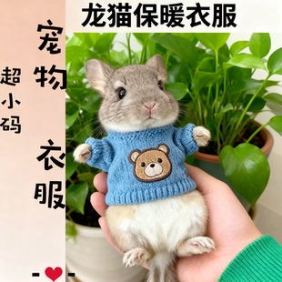 龙猫专用的小衣服保暖秋冬天1斤可用超小号荷兰猪豚鼠衣服卫衣