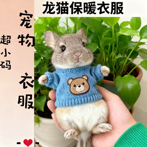 龙猫专用的小衣服保暖秋冬