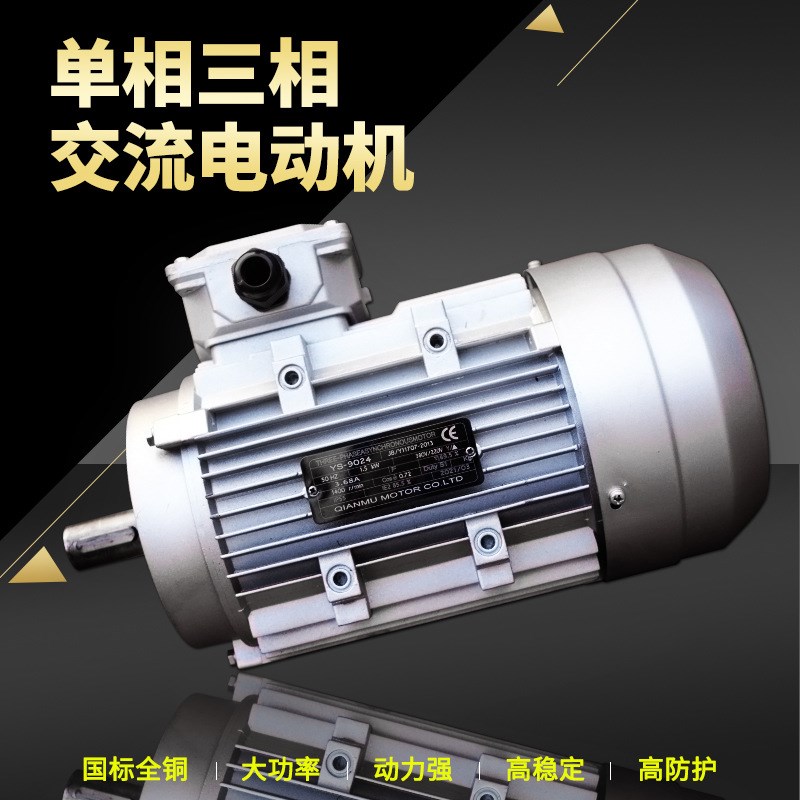 YS-9024电机配件3.68A 小型马达机械装置 220V380V发电机直流交流