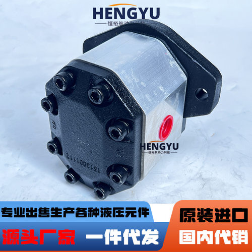 布赫液压泵BUCHER齿轮泵AP300/27/31/38/45/53/63/75D818-FP油泵