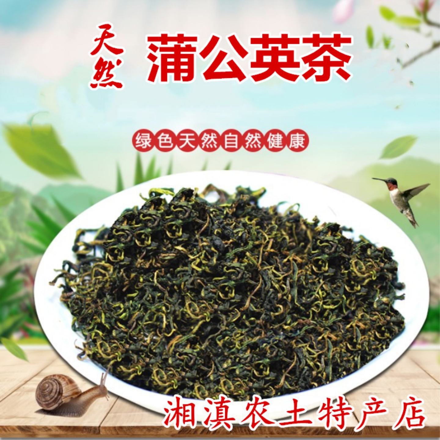 晒干蒲公英叶茶天然云南桑叶
