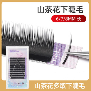 山茶花下睫毛嫁接睫毛漫画多取不散根下眼睫毛快速接漫画款仙子毛