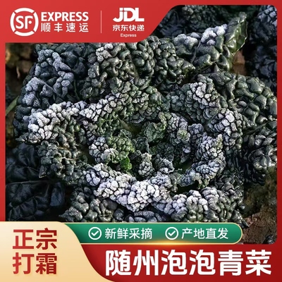 随州泡泡青菜矮杆正宗湖北安居特产霜打青菜霜冻趴趴菜油白菜蔬菜