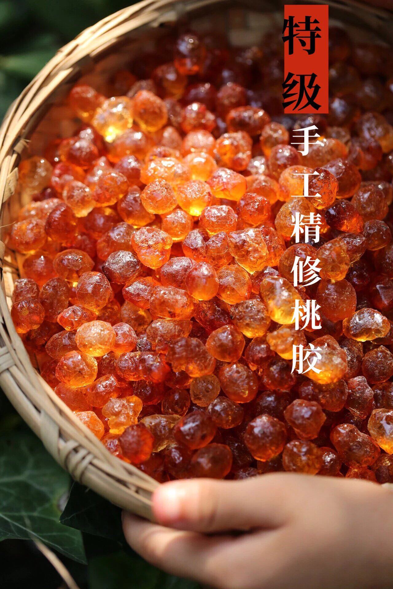 随州本地老树桃胶手工修剪没有抛光玻璃瓶包装