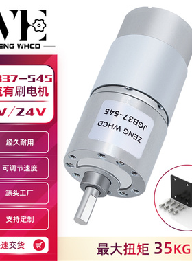 JGB37-545减速电机智能小车12V24V 微型直流齿轮减速电机低速电机