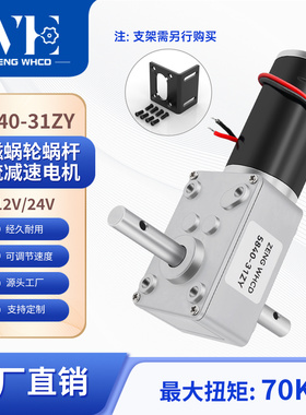 5840-31ZY双长轴蜗轮蜗杆微型马达大扭力直角调速正反转减速电机