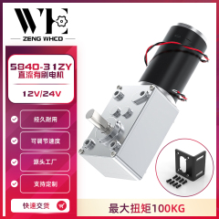 5840-31ZY蜗轮蜗杆微型马达大扭力直角调速正反转减速电机12V 24V