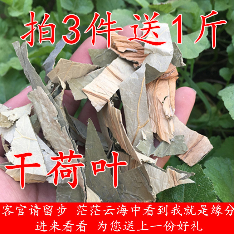 荷叶500克包邮 干荷叶茶 荷叶片条新鲜干货泡水喝非整张天然无硫