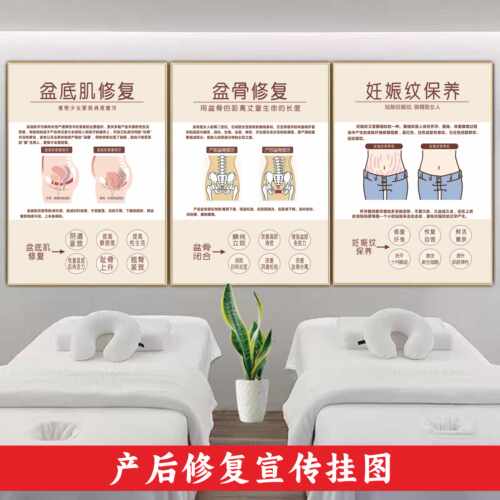 腹直肌月子中心产后修复海报