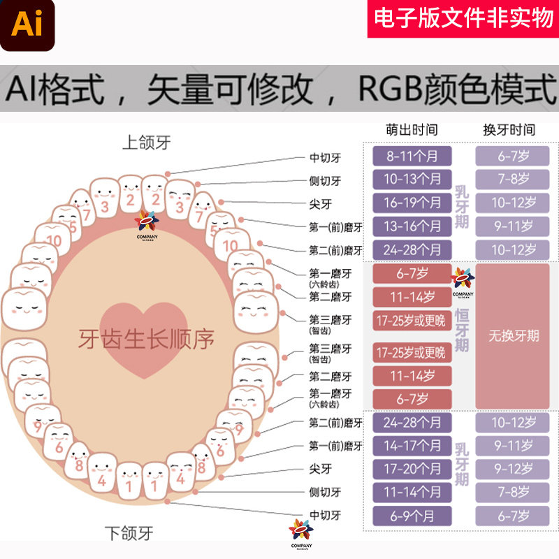 儿童乳牙生长时间顺序医院口腔科口腔牙齿生长儿童口腔平面图素材