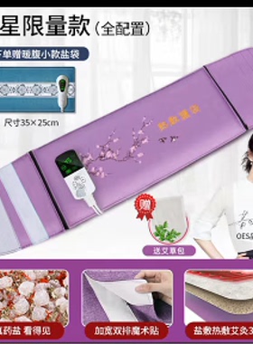 盐袋海盐粗盐热敷包电加热家用艾草艾灸肩颈电热理疗袋子腰部全身