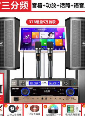 先科（SAST）家庭ktv音响套装卡拉ok机家用无线蓝牙全套k歌音箱影