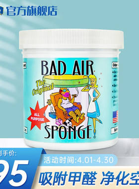BADAIRSPONGE美国BadAir空气净化剂除异味活性炭室内新房汽车家用